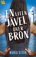 En liten jvel ver bron