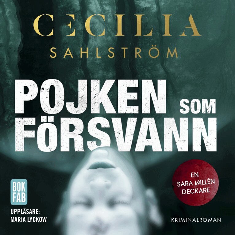 Cecilia Sahlström - Pojken som försvann, E-bok