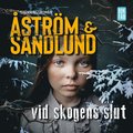 Vid skogens slut