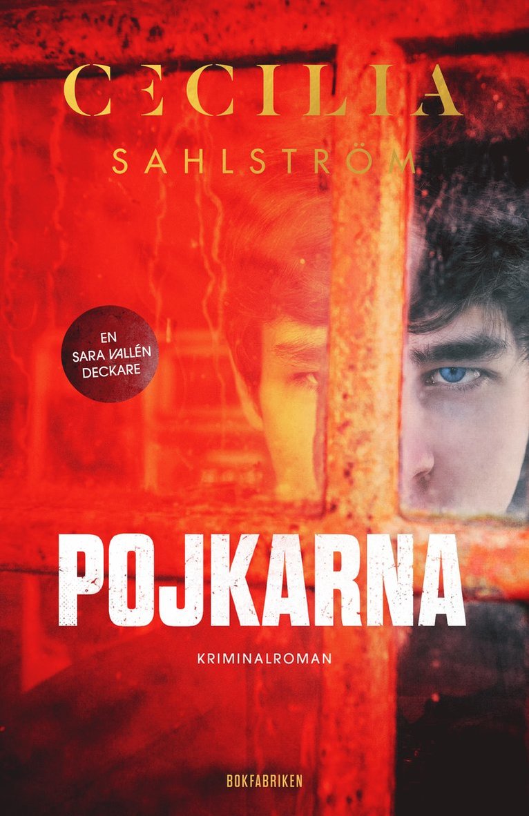 Cecilia Sahlström - Pojkarna, E-bok