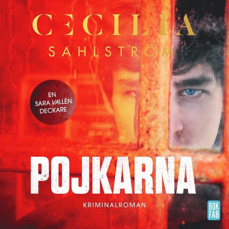 Cecilia Sahlström - Pojkarna, Ljudbok