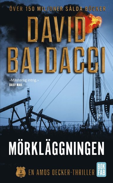 David Baldacci Mörkläggningen