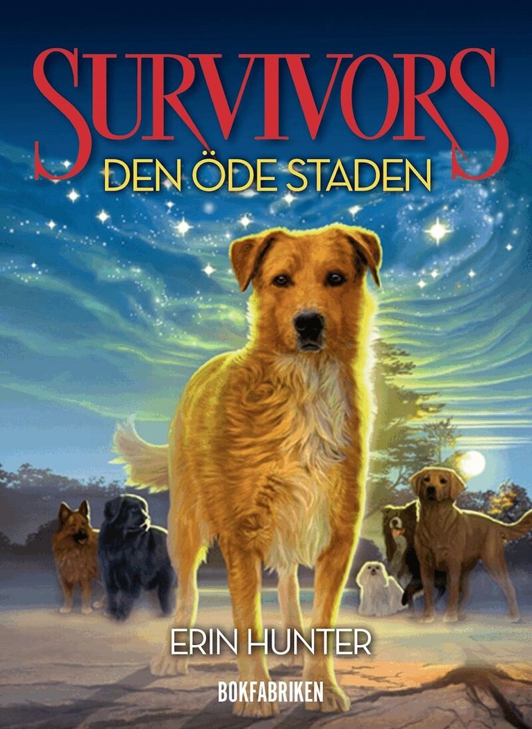 Erin Hunter - Survivors 1.1 Den öde staden, E-bok