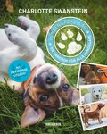 Hundens första år : en handbok för alla hundägare