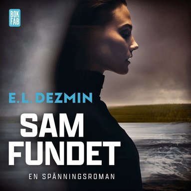 E. L. Dezmin - Samfundet, Ljudbok