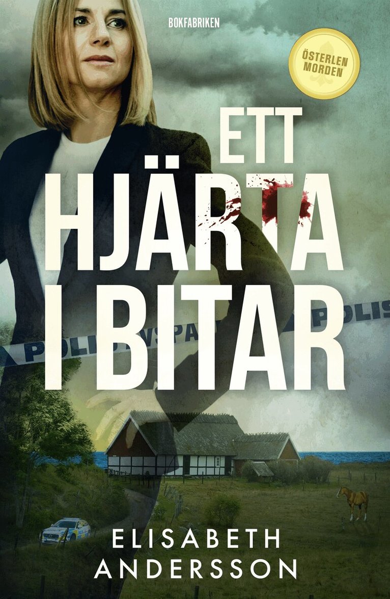 Elisabeth Andersson - Ett hjärta i bitar, E-bok