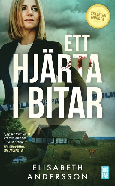 Elisabeth Andersson Ett hjärta i bitar