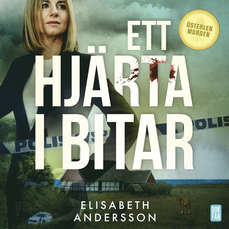 Elisabeth Andersson - Ett hjärta i bitar, Ljudbok