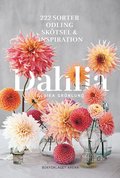 Dahlia : 222 sorter, odling, sktsel och inspiration