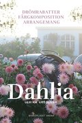 Dahlia : drmrabatter, frgkomposition och arrangemang