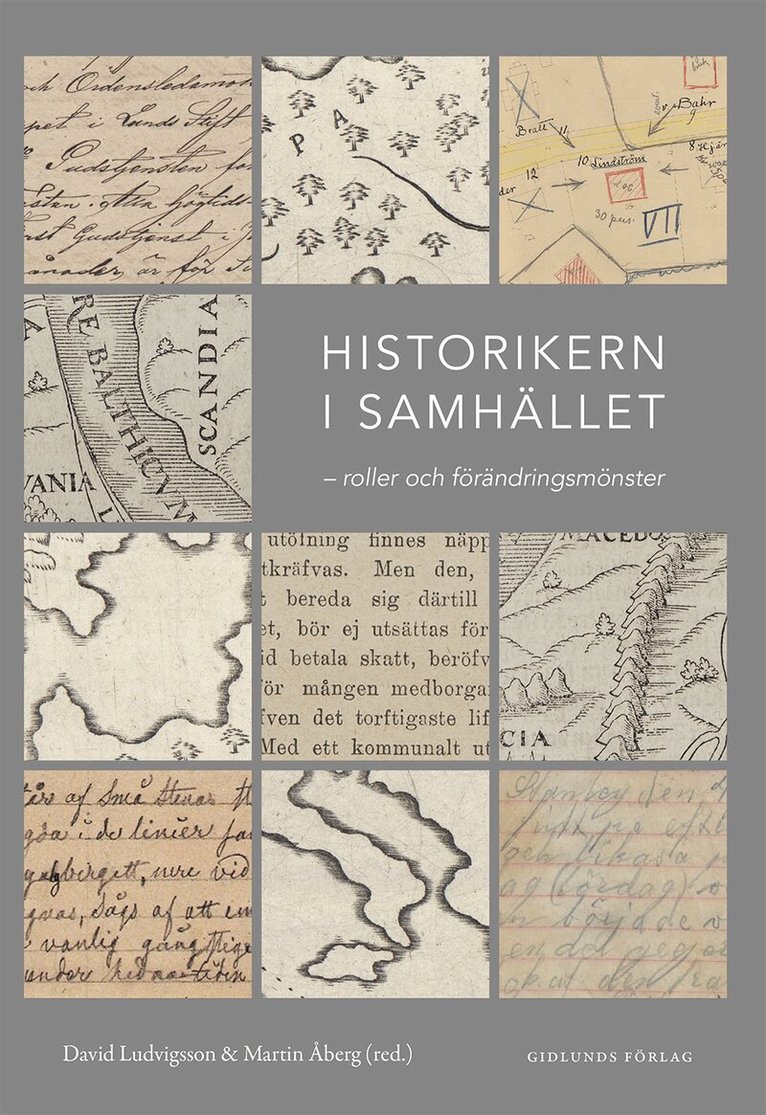 Historikern i samhället : roller och förändringsmönster, Häftad
