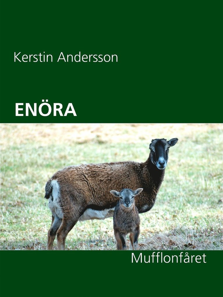 Kerstin Andersson - ENÖRA: Mufflonfåret, E-bok
