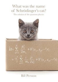 What was the name of Schr�dinger's cat? : the solution of the quantum physics