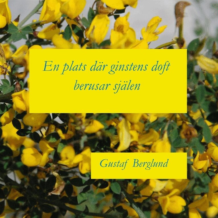 Gustaf Berglund - En plats där ginstens doft berusar själen: En sonettkrans, E-bok. Tillgänglighet: Lägg i varukorg