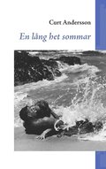 En lng het sommar