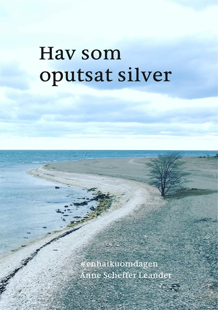 Anne Scheffer Leander - Hav som oputsat silver: #enhaikuomdagen, E-bok