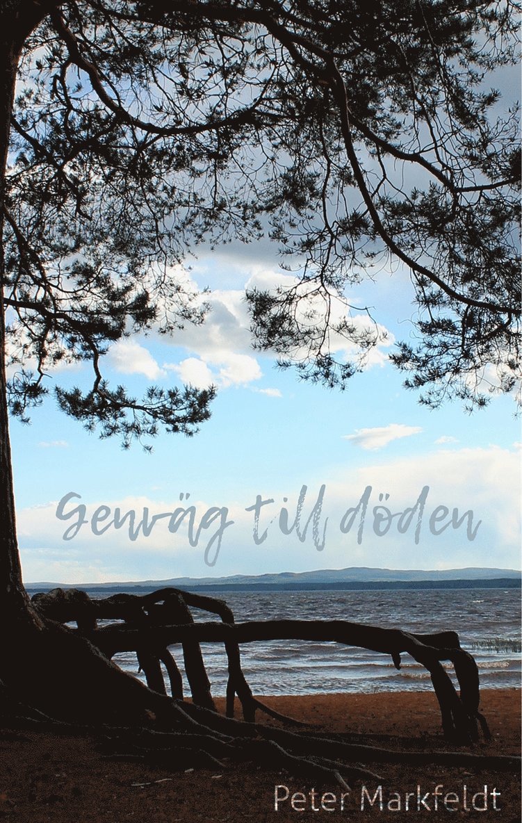 Peter Markfeldt - Genväg till döden, E-bok