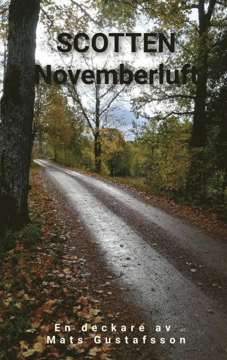 Mats Gustafsson - Scotten Novemberluft, E-bok
