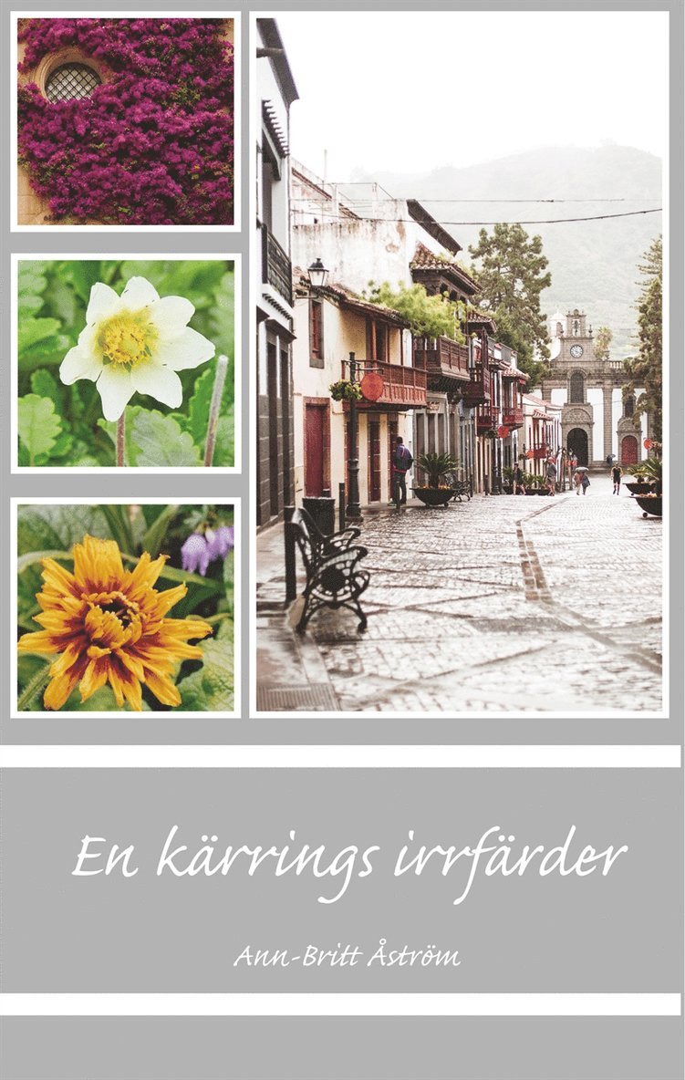 Ann-Britt Åström - En kärrings irrfärder, E-bok
