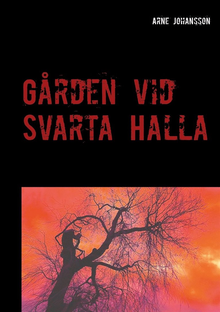Arne Johansson - Gården vid Svarta Halla, E-bok