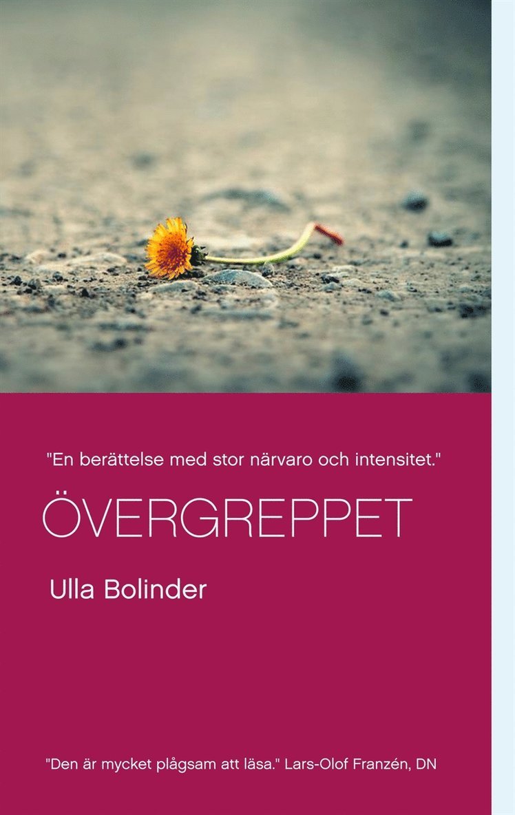 Ulla Bolinder - Övergreppet, E-bok