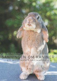 Sanningen om kaniner: Ett missförstått sällskapsdjur