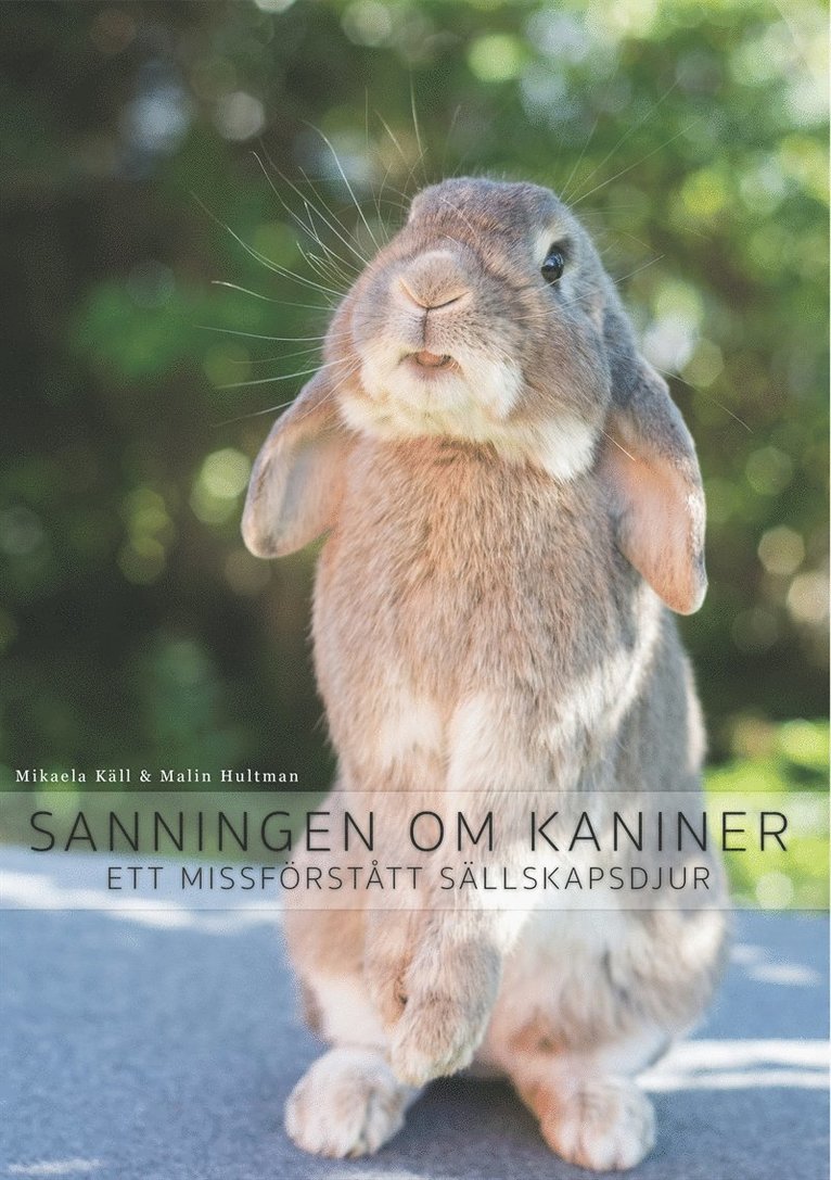 Mikaela Käll, Malin Hultman - Sanningen om kaniner: Ett missförstått sällskapsdjur, E-bok
