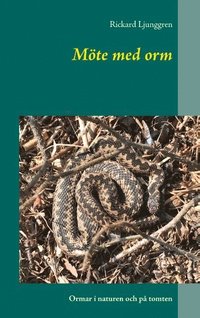 Mte med orm : ormar i naturen och p tomten