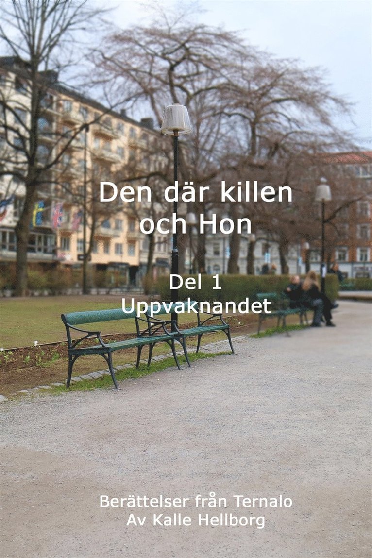 Kalle Hellborg - Den där killen och Hon - Uppvaknandet: Berättelser från Ternalo, E-bok