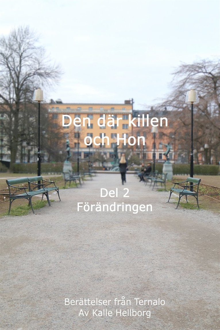 Kalle Hellborg - Den där killen och Hon - Del 2 - Förändringen: Berättelser från Ternalo, E-bok