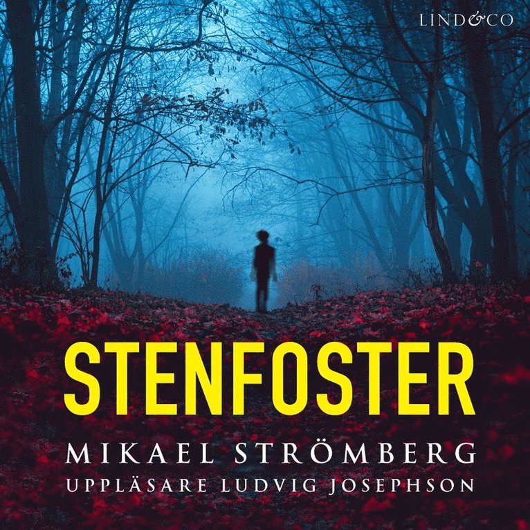 Mikael Strömberg - Stenfoster, Ljudbok