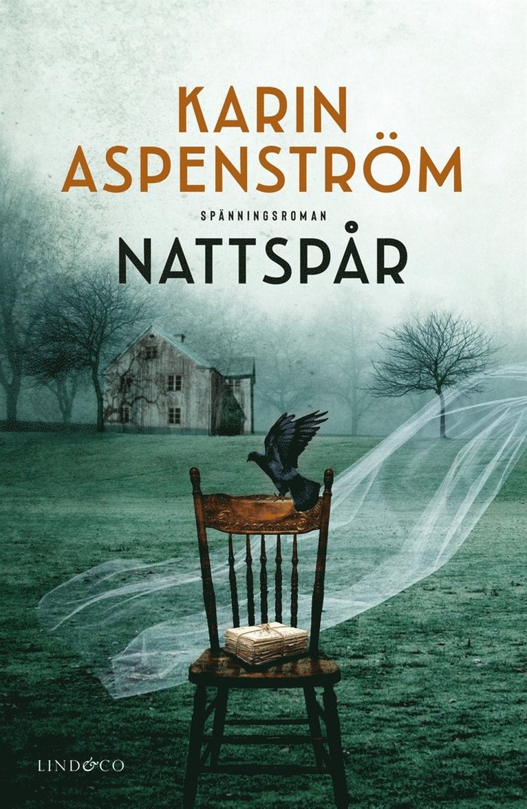 Karin Aspenström - Nattspår, E-bok