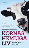 Kornas hemliga liv