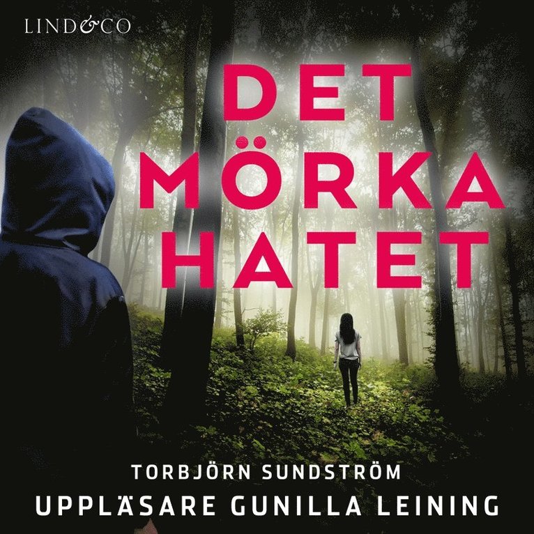 Torbjörn Sundström - Det mörka hatet, Ljudbok