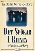 Det spökar i ruinen. Stellan Werne-deckare nr 11. Återutgivning av text från 1937