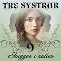 Skuggor i natten