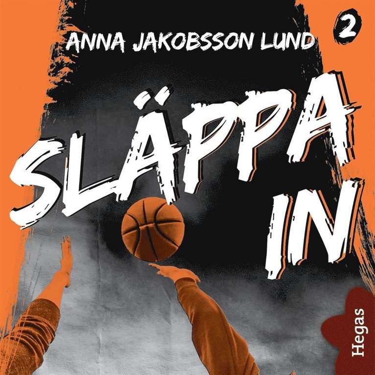 Anna Jakobsson Lund - Utanför plan 2: Släppa in, Ljudbok