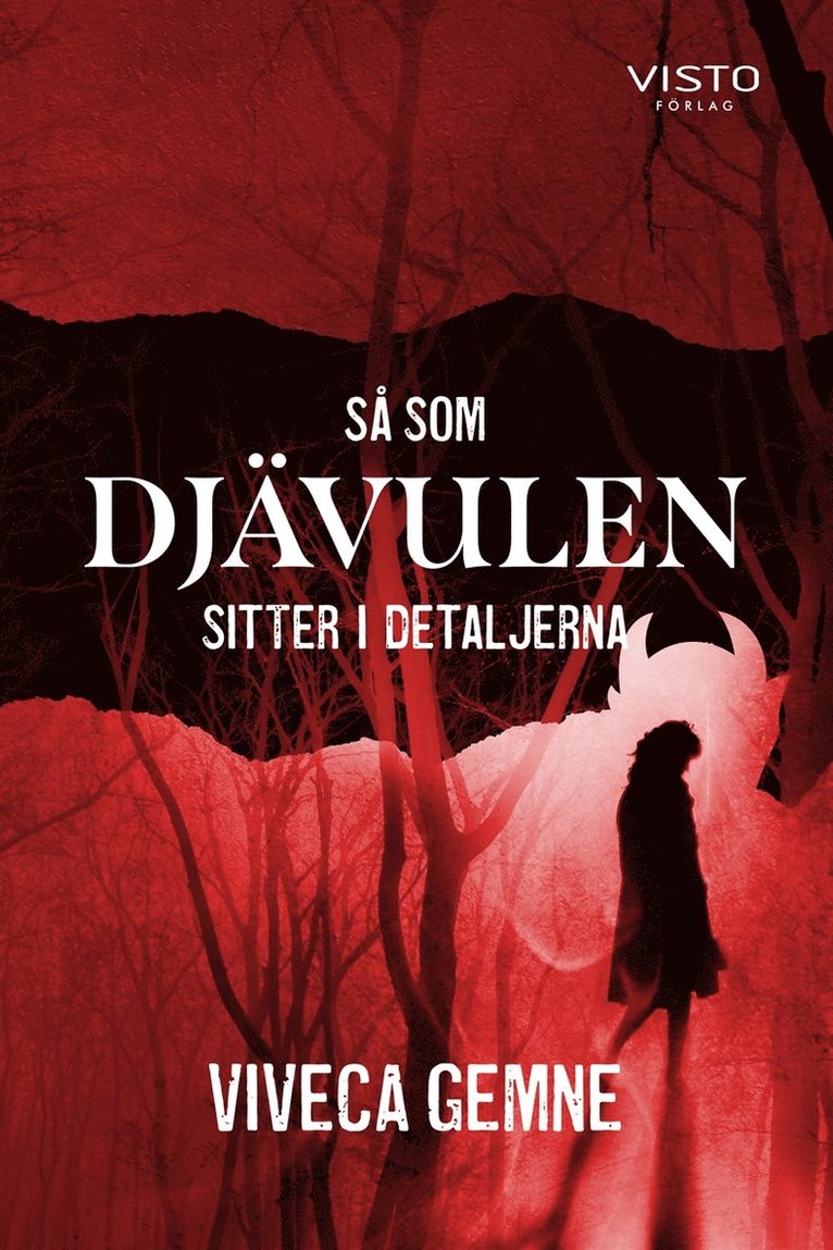 Viveca Gemne - Så som Djävulen sitter i detaljerna, E-bok