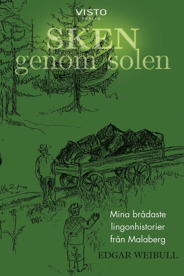 Edgar Weibull - Sken genom solen, E-bok