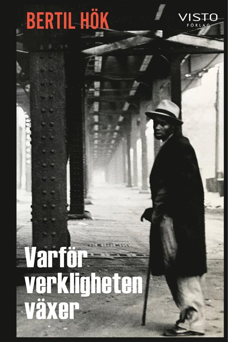 Bertil Hök - Varför verkligheten växer, E-bok