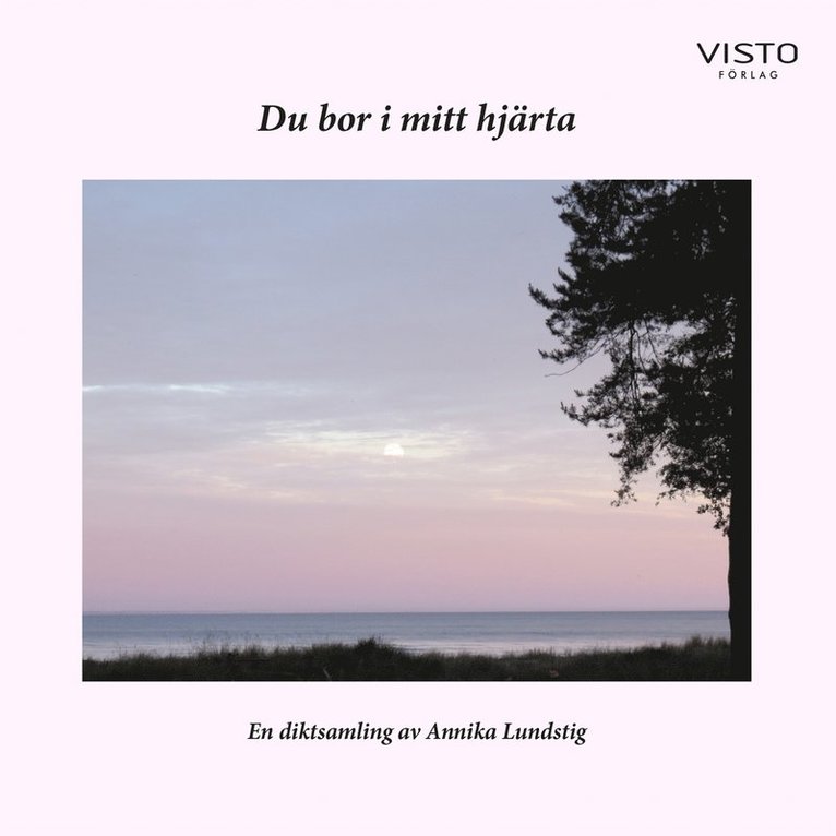 Annika Lundstig - Du bor i mitt hjärta, E-bok