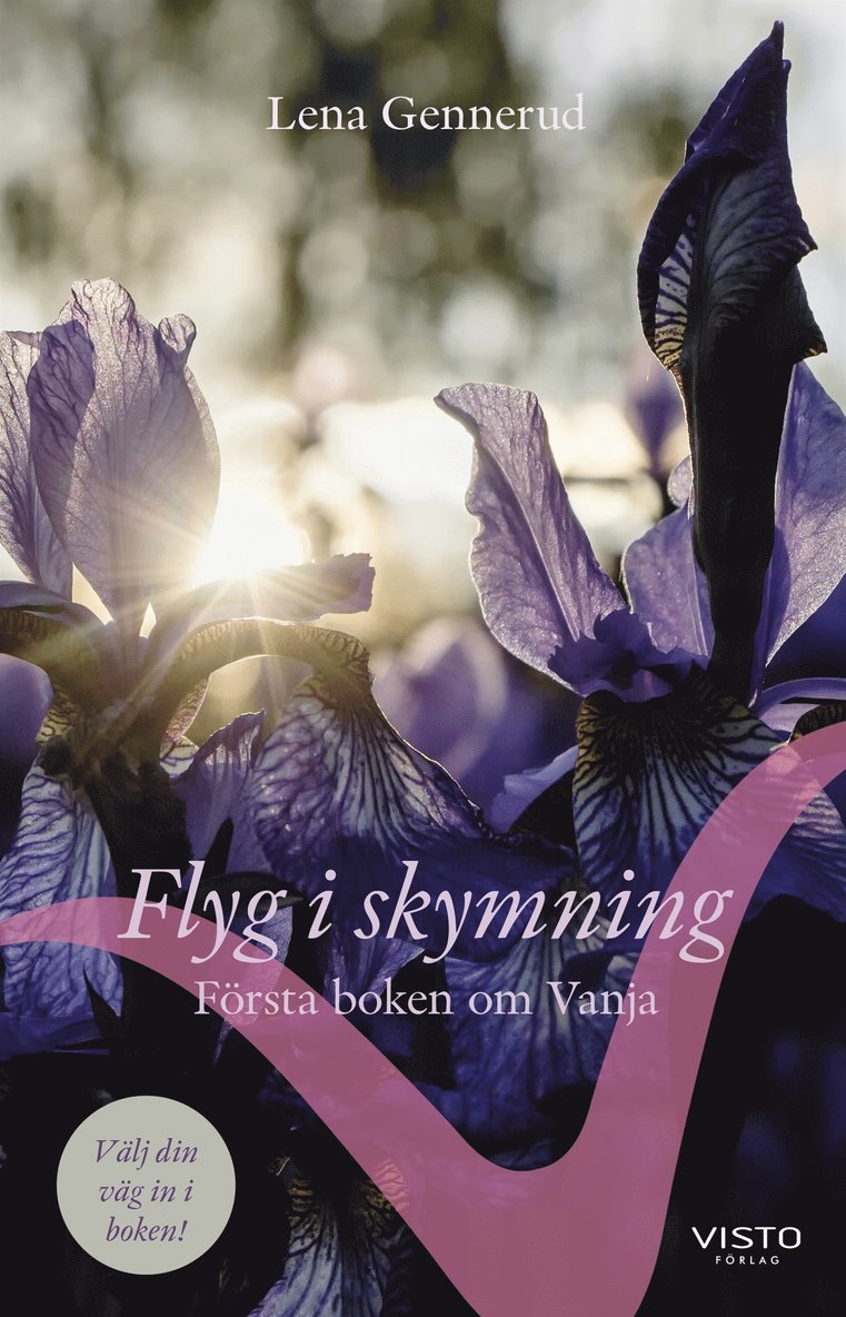 Lena Gennerud - Flyg i skymning : första boken om Vanja, E-bok