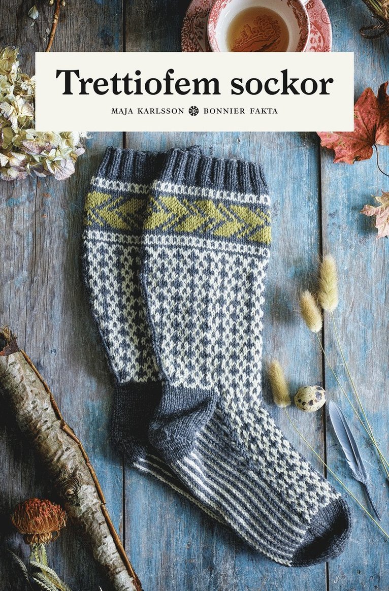 Maja Karlsson - Trettiofem sockor, E-bok