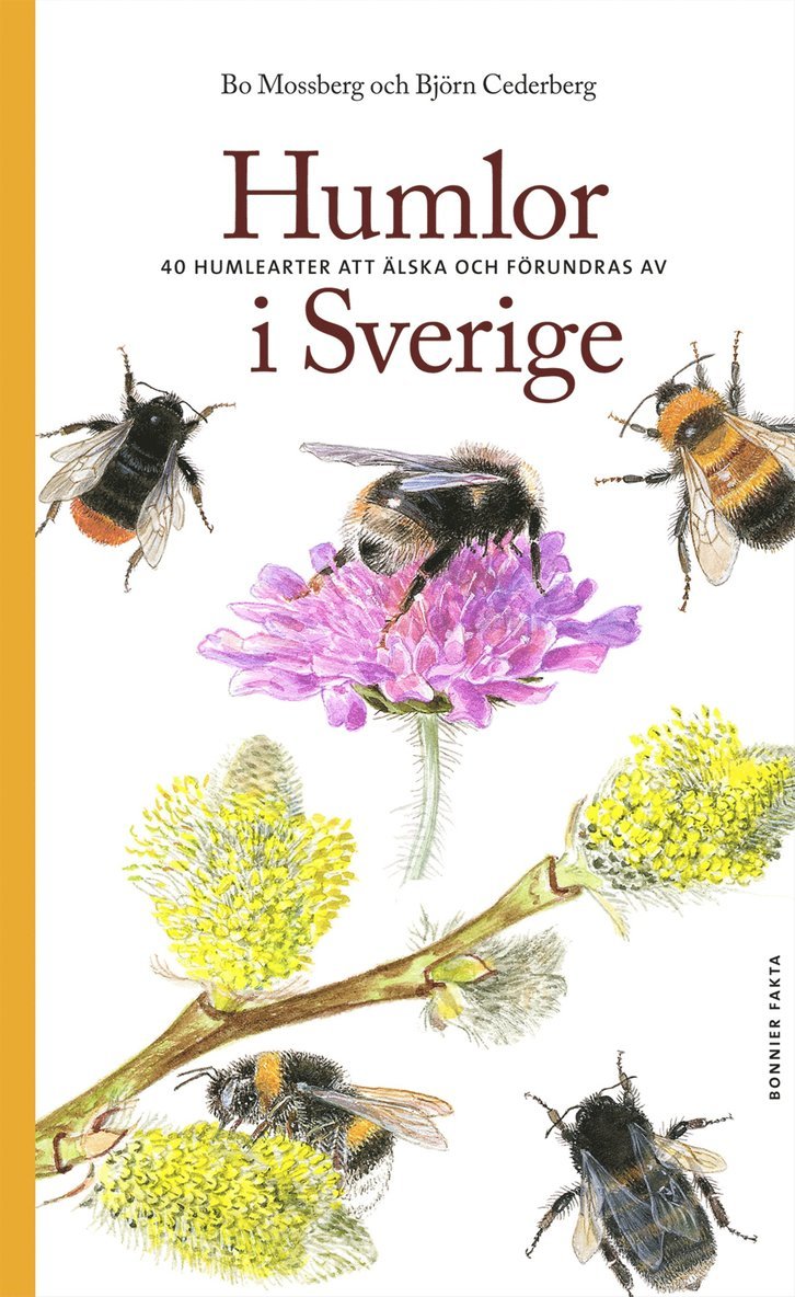 Bo Mossberg, Björn Cederberg - Humlor i Sverige : 40 arter att älska och förundras över, E-bok