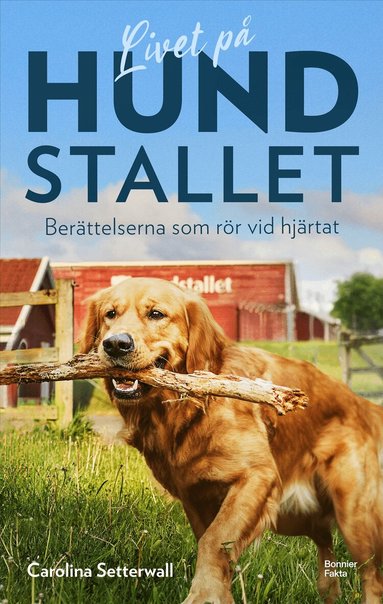 Carolina Setterwall - Livet på Hundstallet : berättelserna som rör vid hjärtat, Kartonnage. Tillgänglighet: Lägg till