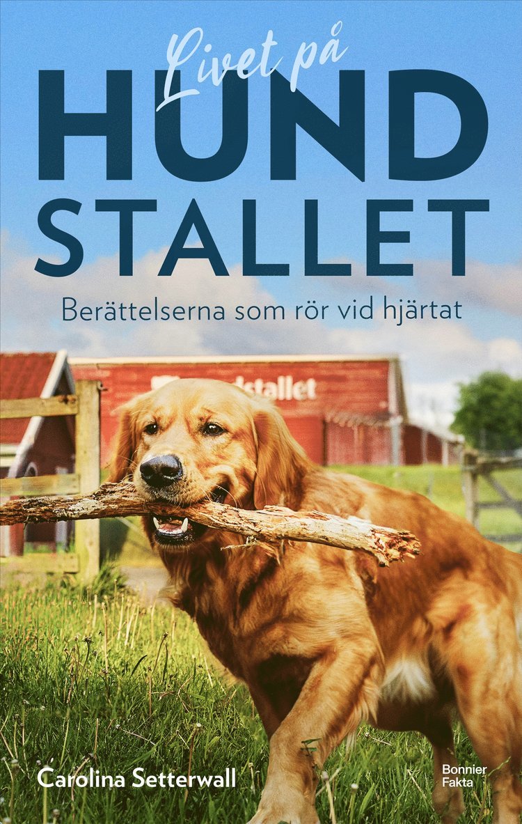Carolina Setterwall - Livet på Hundstallet : berättelserna som rör vid hjärtat, E-bok
