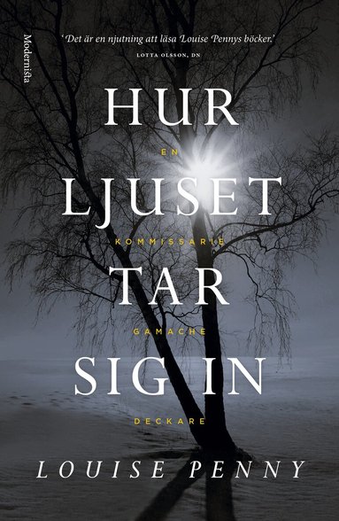 Louise Penny - Hur ljuset tar sig in, Inbunden
