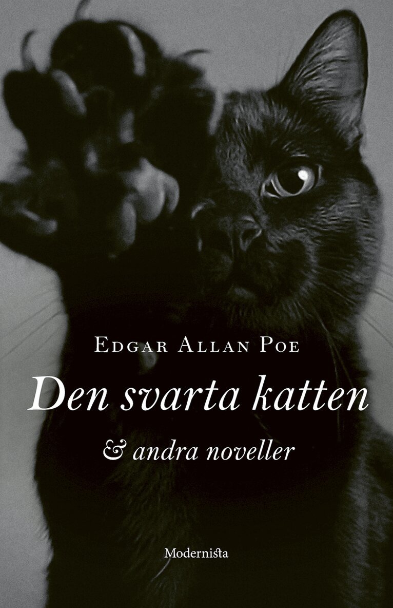 Edgar Allan Poe - Den svarta katten och andra noveller, E-bok