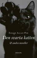 Den svarta katten och andra noveller