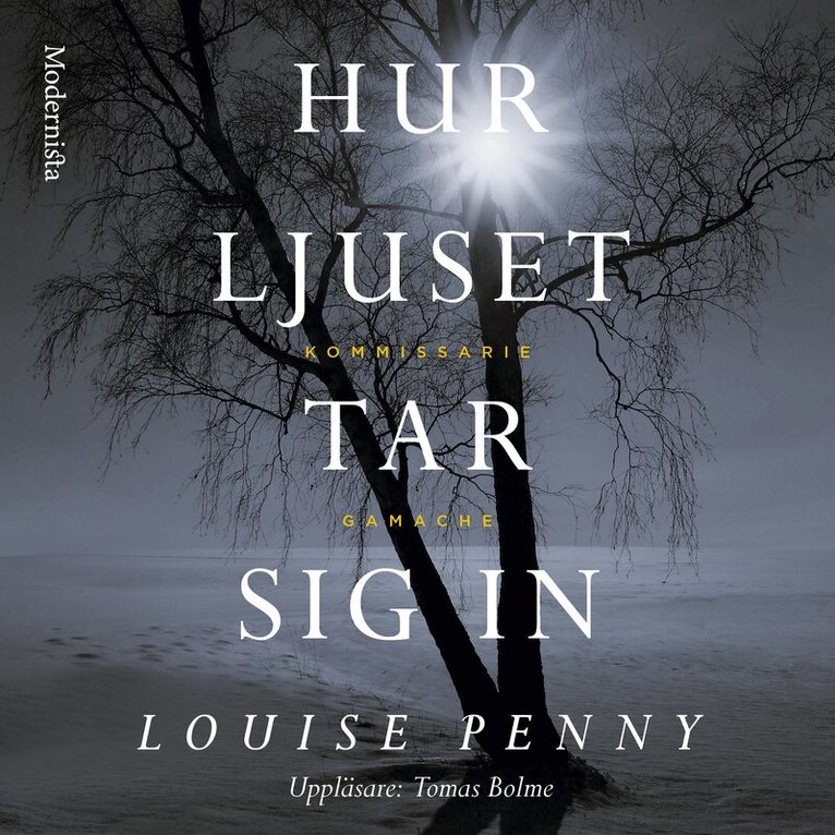 Louise Penny - Hur ljuset tar sig in, Ljudbok